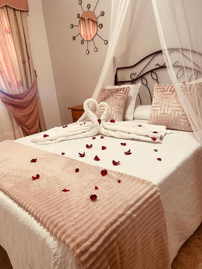 Fantastico Apartamento De 1 Habitacion En El Pris Tacoronte Eksteriør billede